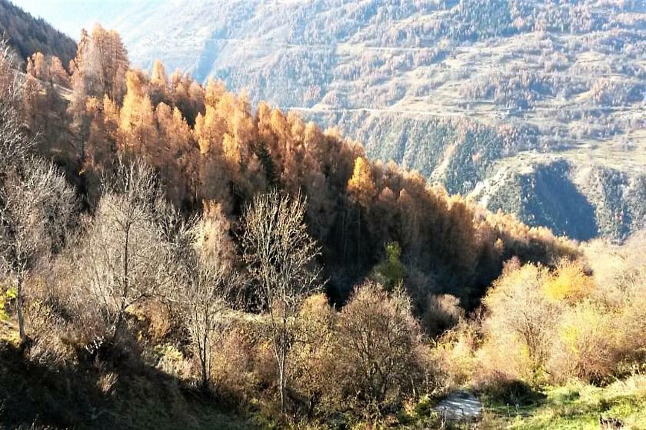 La Chaumiere D'Herens Vernamiège Exterior foto